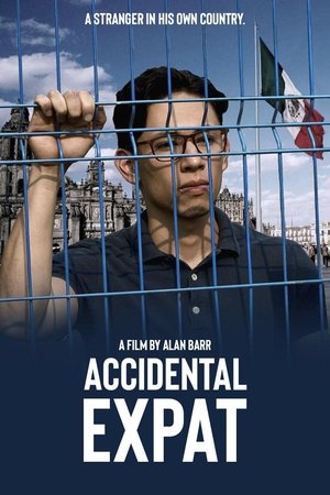 Accidental Expat (2025) WEBRIP Hindi (MULTI AUDIO) 720p – 480p – 1080p