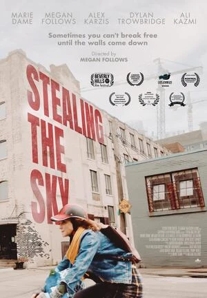 Stealing the Sky 2025 English Audio WEB-DL 720p - 480p - 1080p